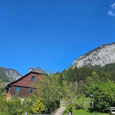 Premium Apartment Mit Privatem Whirlpool, Sauna, Garten Sankt Martin am Grimming Esterno foto